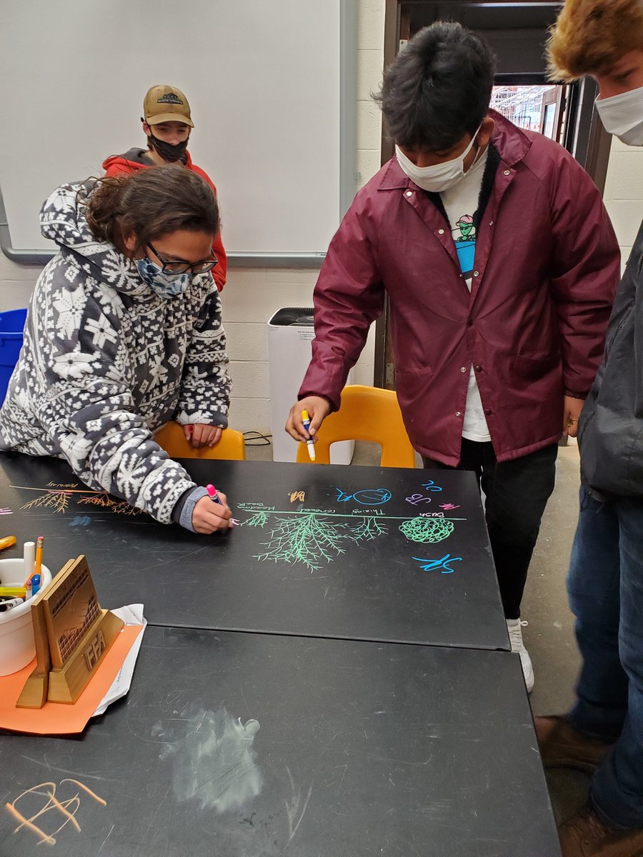 Students reviewed pruning methods by drawing the cuts they would make for renewal, thinning and heading back.  Followed by a gallery walk to assess their peers. Window markers for the win!