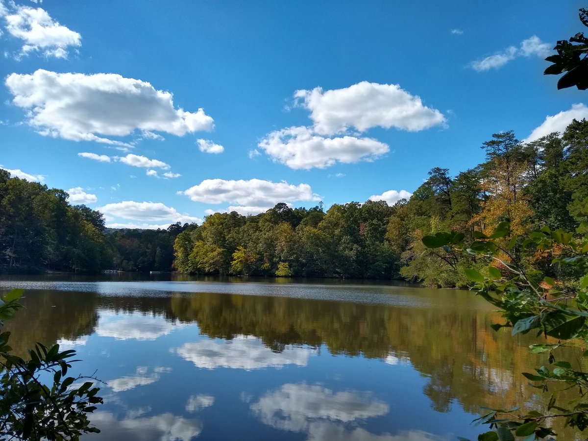 bpridgeo's tweet image. Probably this one from Paris Mountain State Park...