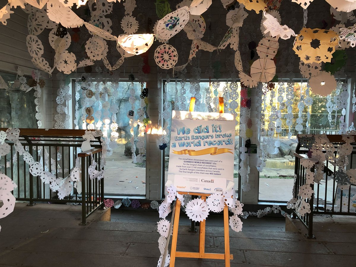 TheTorontoZoo's tweet photo. Congratulations to @EarthRangers on breaking the @GWR for largest chain of paper snowflakes ❄️ #SnowflakeChallenge #PolarBearWeek https://t.co/SqVkS5LzQm