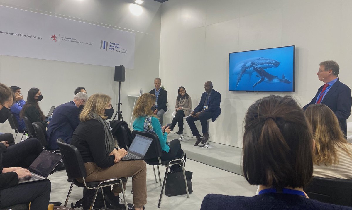 RyanInstitute's tweet image. Marcel van Nijnatten opens &quot;Science, policy &amp;amp; practice: Connecting the dots to shape climate-smart food systems&quot; event at #COP26 EIB &amp;amp; Benelux Pavilion. Great speaker lineup from @CGIARclimate, @SDGBenchmarks, @Columbia &amp;amp; @SACAUinfo

#implemention #policy

bit.ly/31DVOzH