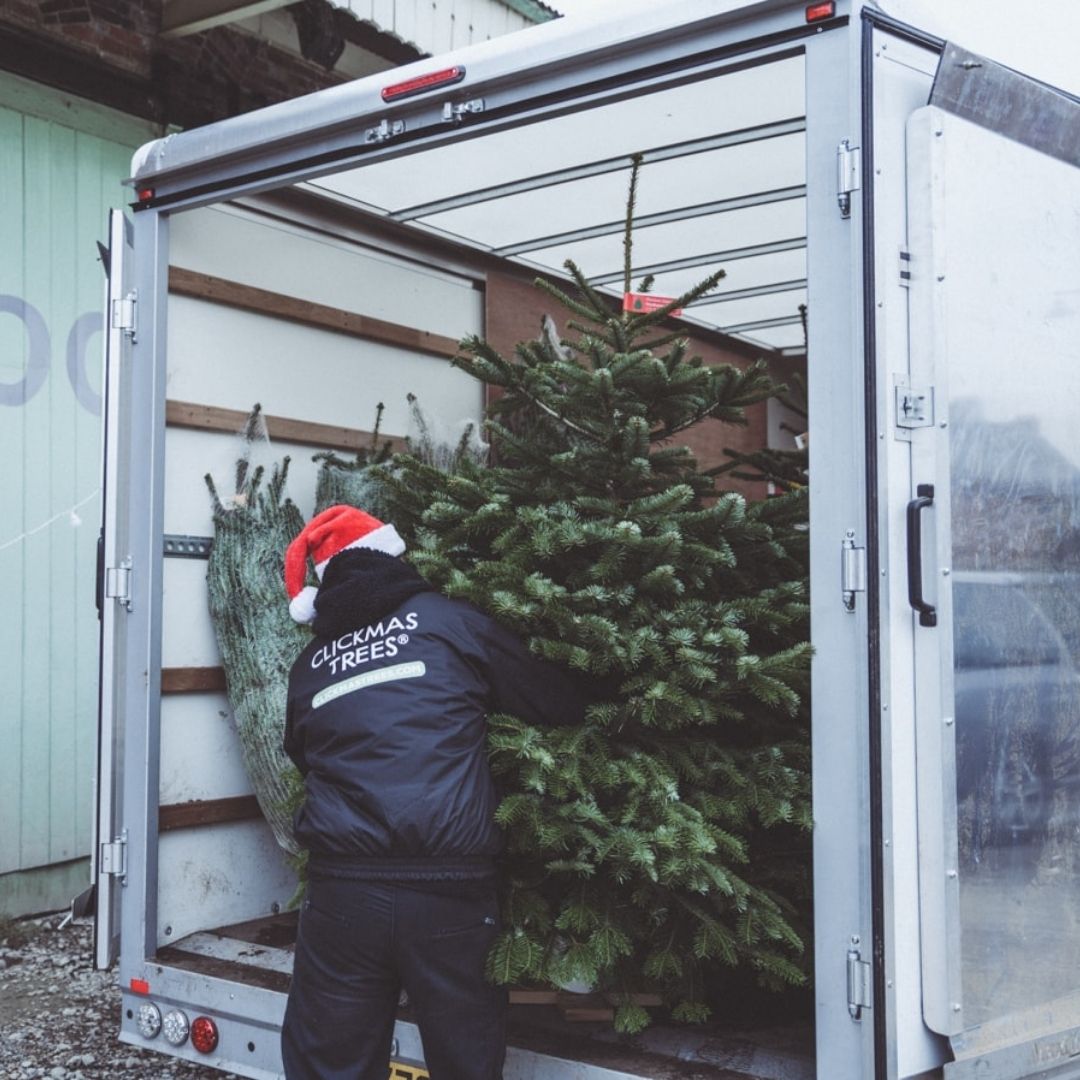 Clickmas Trees tweet media