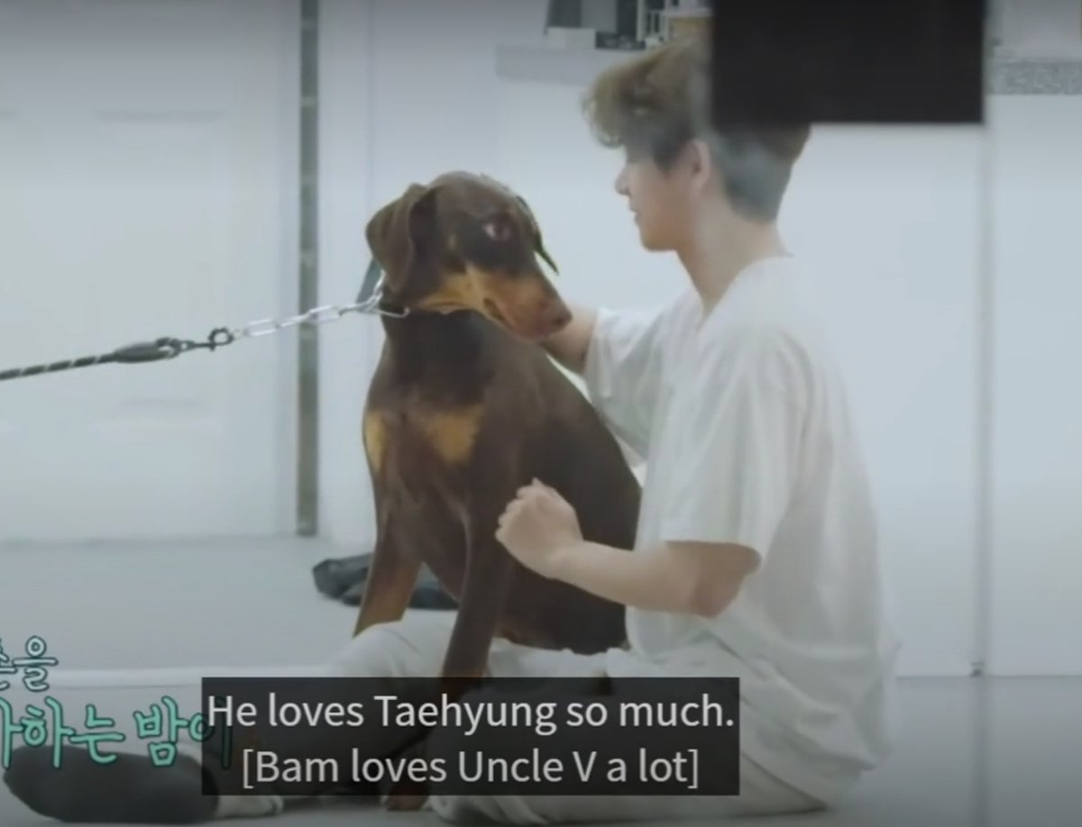 outroluvtear's tweet photo. " Bam loves Uncle V a lot " 
taetae playing with Bam 🥺
#Bam #TAEHYUNG 
#IN_THE_SOOP_S2 🐾 https://t.co/cxneilCONr