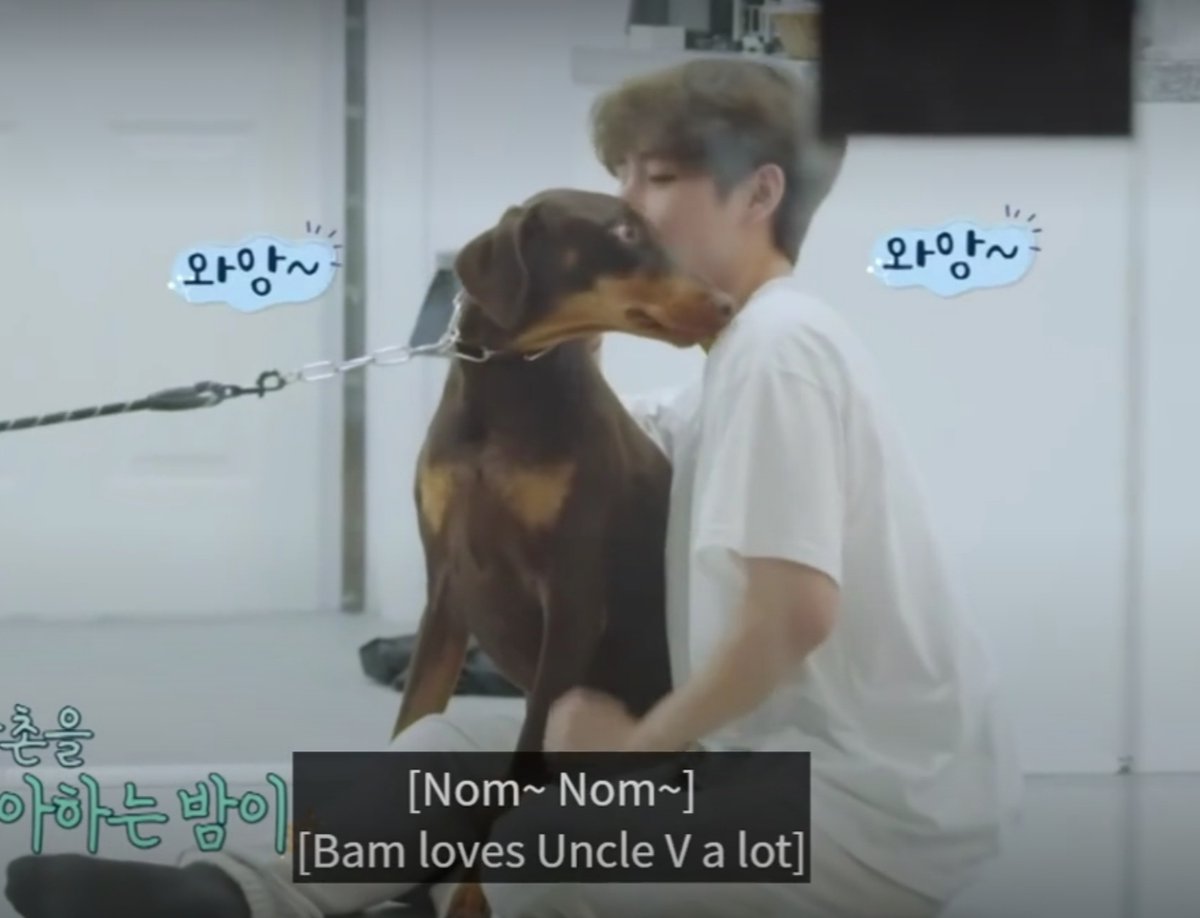 outroluvtear's tweet photo. " Bam loves Uncle V a lot " 
taetae playing with Bam 🥺
#Bam #TAEHYUNG 
#IN_THE_SOOP_S2 🐾 https://t.co/cxneilCONr