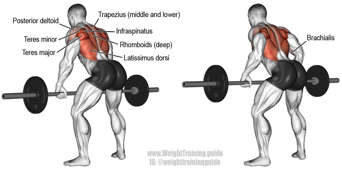 06. Barbell Row