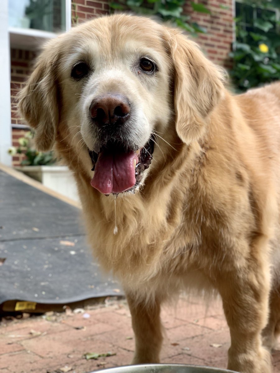 TheGoldenRatio4's tweet photo. Queso or Guac? https://t.co/XcV0OLxLno