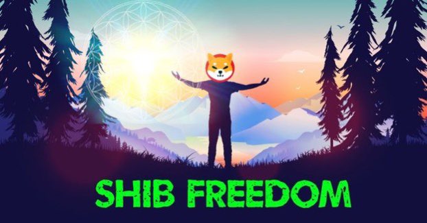 Jermz_219's tweet photo. #FinancialFreedom #SHIBDELETEAZERO #SHIBARMY #SHIBZILLA #ShibaSwap https://t.co/RMUdTnLGCD