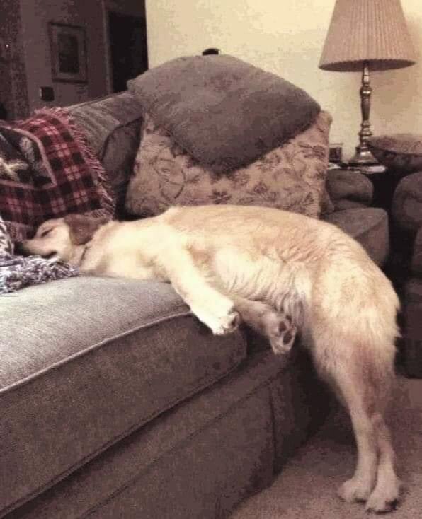 NJNJ2011's tweet image. Me before departing to JFK for another Europe &amp;amp; Mideast flight tonight✌️