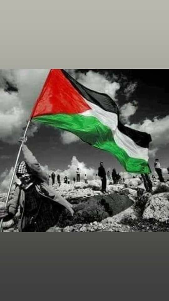 الجزائر قبل كل شي🇩🇿