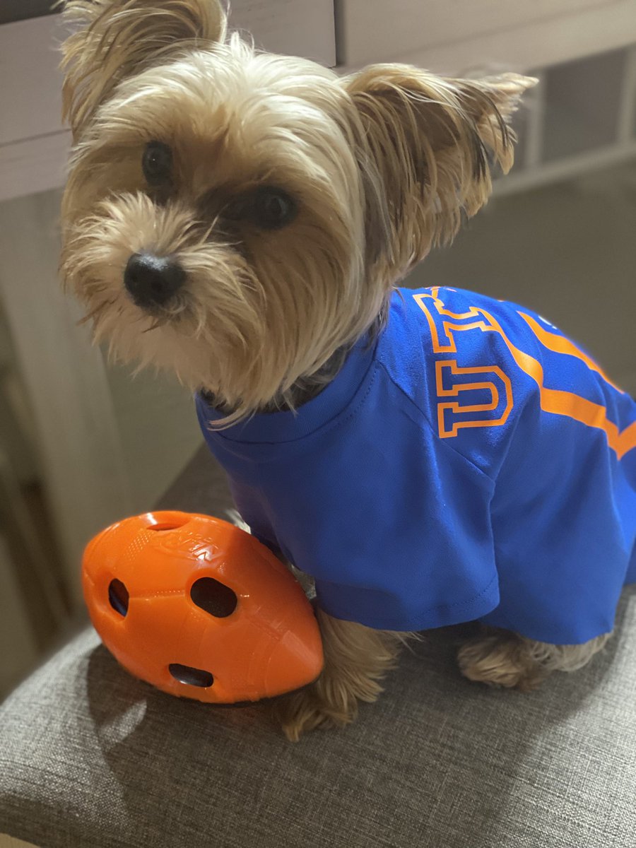 DanceMomDeeDee's tweet photo. Louie has grown up loving to cheer on the roadrunners..help us wish him a happy first birthday by getting that W this weekend #UTSA #SPIRITFRIDAY #Louie #UTSAvsUTEP #210TriangleOfToughness #PutMeInCoach #HowItStartedVsHowItsGoing @UTSA @UTSAFTBL @CoachTraylor https://t.co/Wgg7Lg0QWN