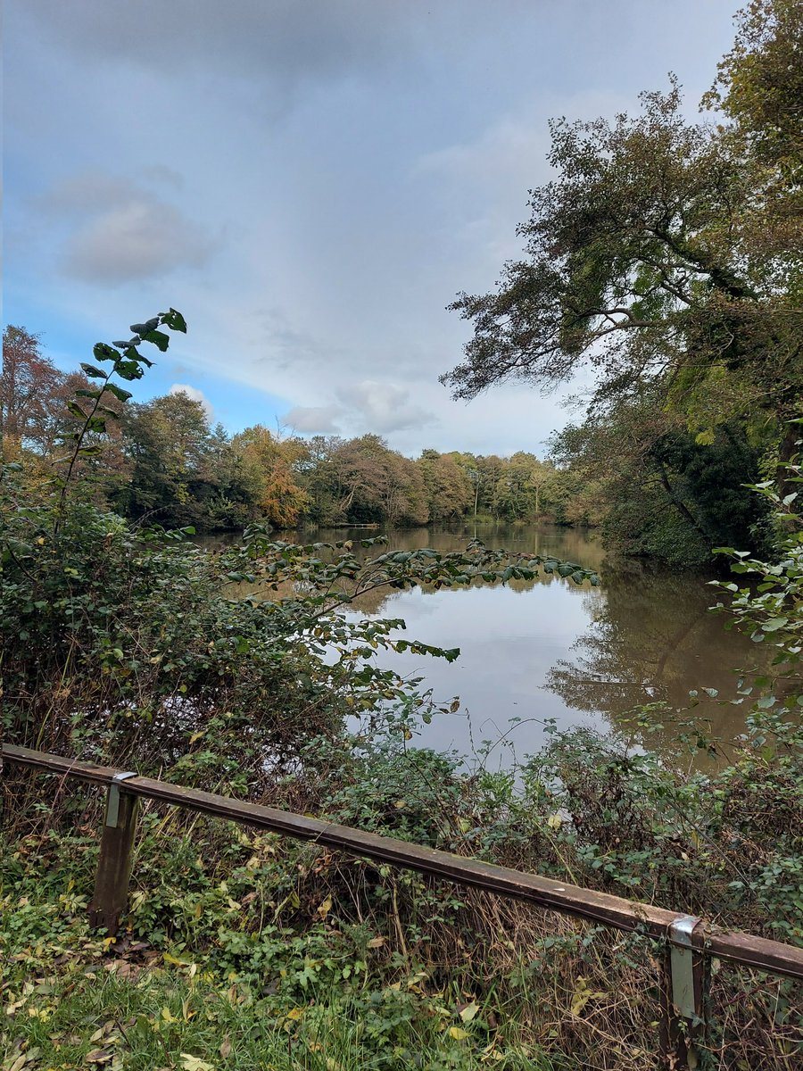 flyingcarper's tweet photo. Just wow! 😱👌🏻🎣 #RedmirePool https://t.co/7zzyyMqq5P