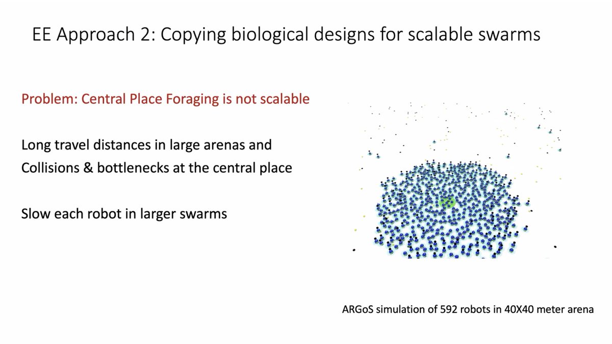 sfiscience's tweet image. &quot;If you know you&apos;re going to be in a random, stochastic world, then program that in from the start, instead of letting the randomness destroy your algorithm.&quot;

&quot;Central place foraging isn&apos;t scalable.&quot;

— SFI&apos;s @MelanieEMoses on #SwarmRobotics lessons + #EmergentEngineering:
