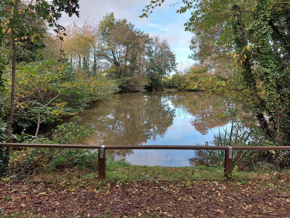 flyingcarper's tweet photo. Just wow! 😱👌🏻🎣 #RedmirePool https://t.co/7zzyyMqq5P