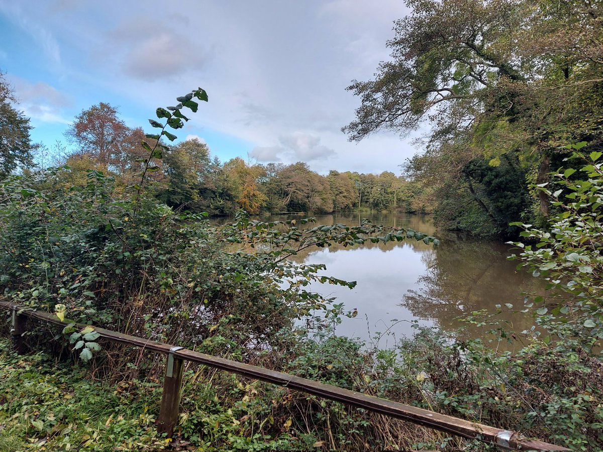 flyingcarper's tweet photo. Just wow! 😱👌🏻🎣 #RedmirePool https://t.co/7zzyyMqq5P