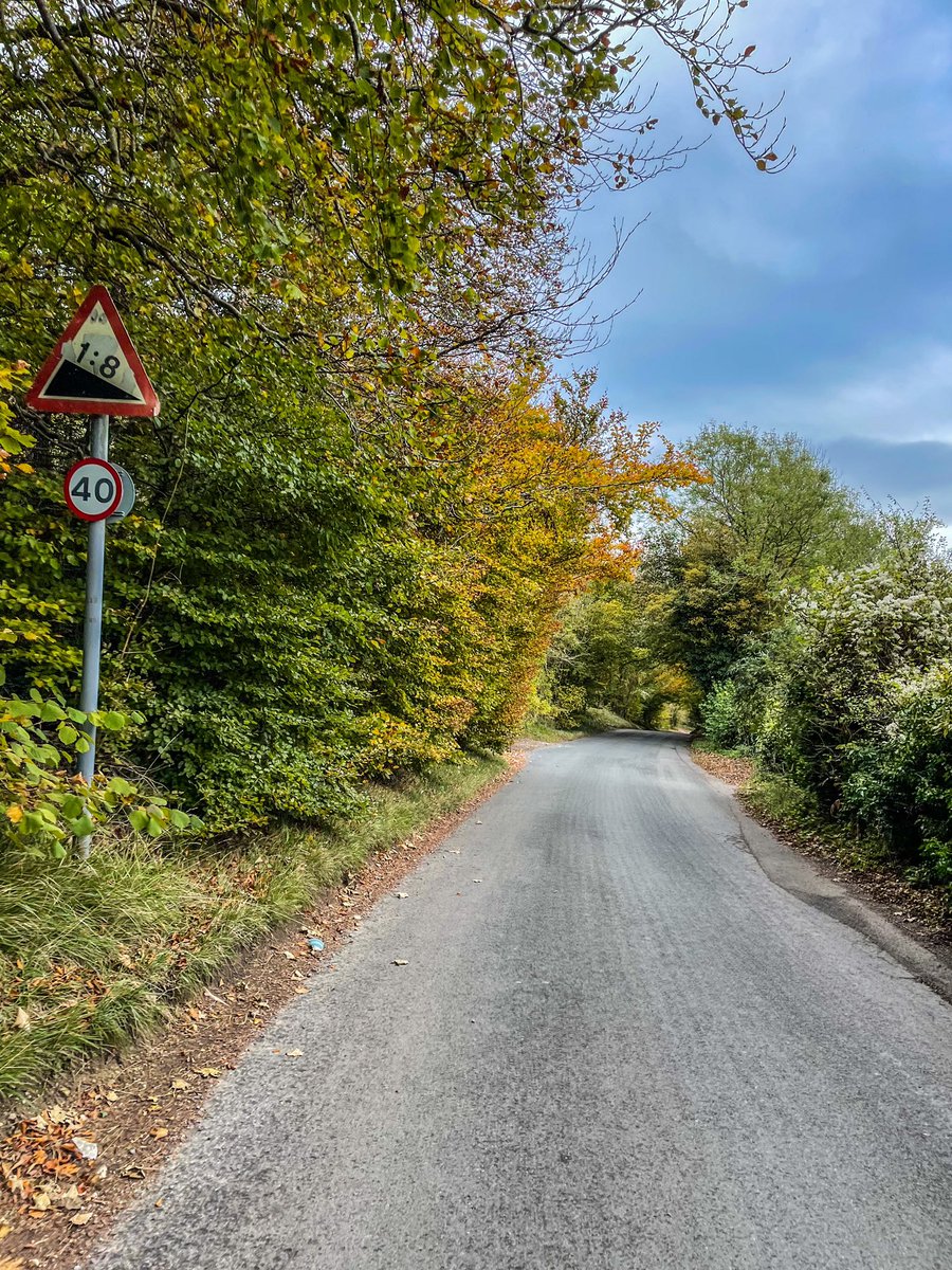 Justin Di Tommaso tweet media