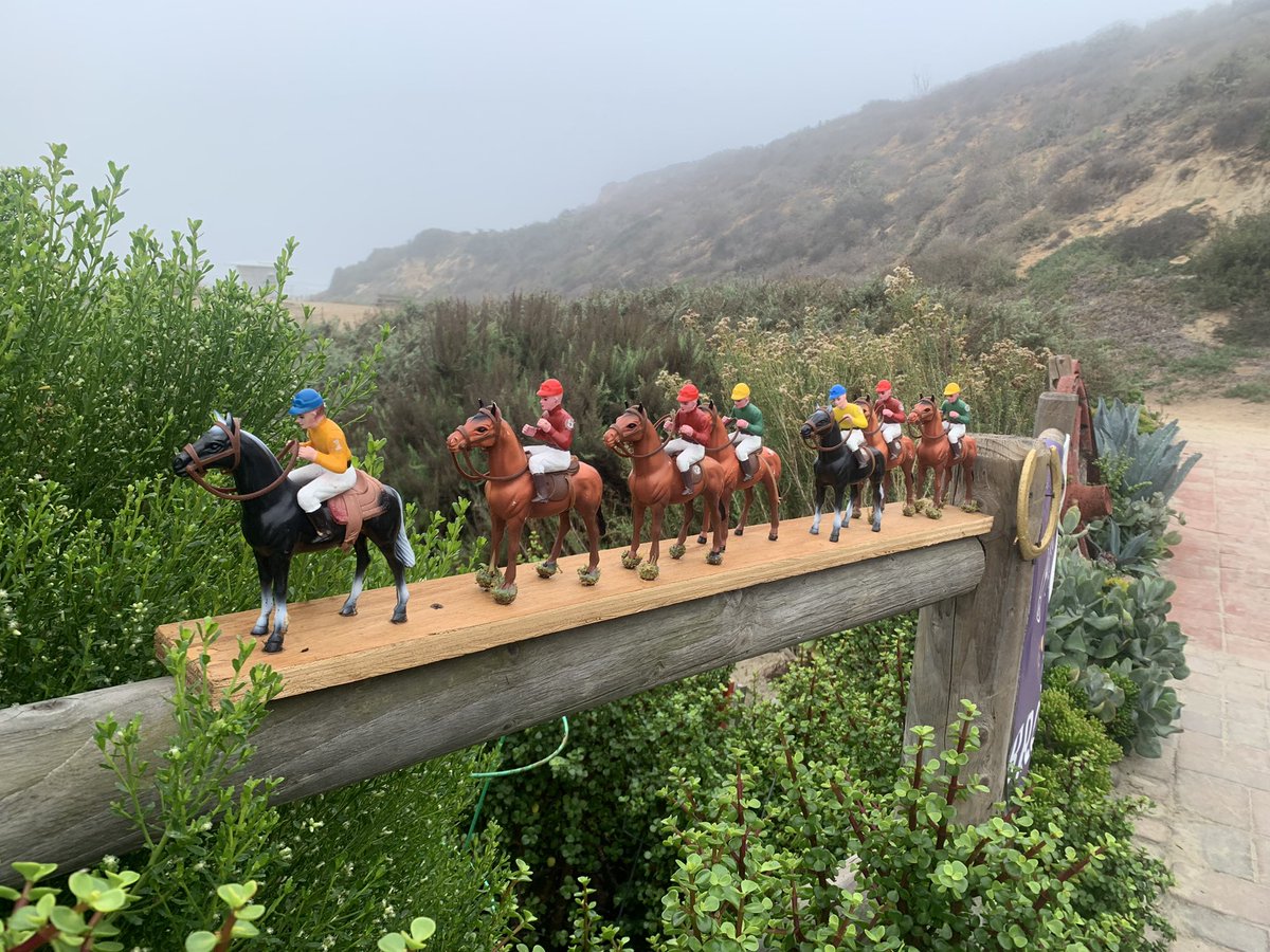 Good morning #DelMar Thanks for the <a href="/BreedersCup/">Breeders' Cup</a> inspiration on my morning run! <a href="/fox5sandiego/">FOX 5 San Diego</a>