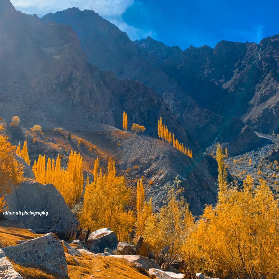 pamirtimes's tweet photo. Autumn in Hussain Abad, #Broq, #Baltistan 

Photo: Athar Ali https://t.co/gFykjVDvQu