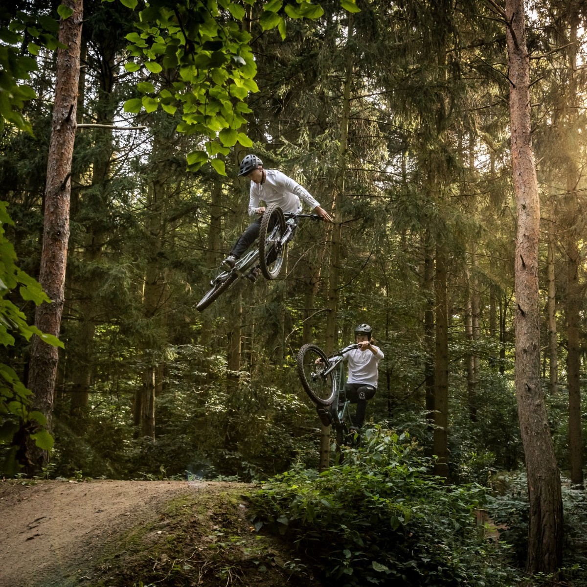 FOCUSBikes's tweet photo. TIME TO SHRED! 🤘
Our athletes show how to best use our mountainbikes: On the trails and above all – together!

📸: Manuel Sulzer

#focusbikes #mountainbike #trails #arrowtrails #freeride #focusjam #focusthron #ridetogether #ridebeyond https://t.co/tJK6WK1nts