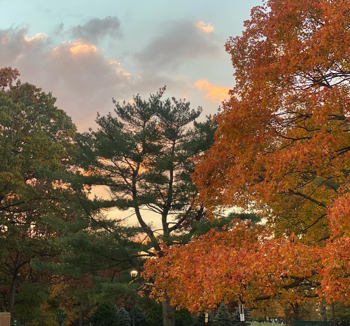 unitycharter's tweet photo. #FallOnCampus “Autumn is a second spring when every leaf is a flower.” https://t.co/NB3JE6Ff8V