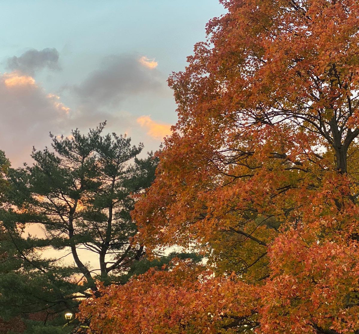 unitycharter's tweet photo. #FallOnCampus “Autumn is a second spring when every leaf is a flower.” https://t.co/NB3JE6Ff8V