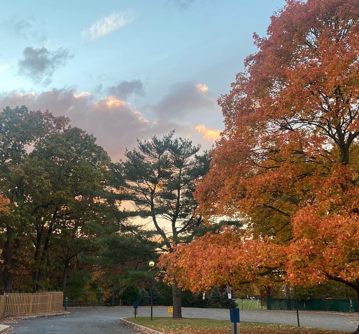 unitycharter's tweet photo. #FallOnCampus “Autumn is a second spring when every leaf is a flower.” https://t.co/NB3JE6Ff8V