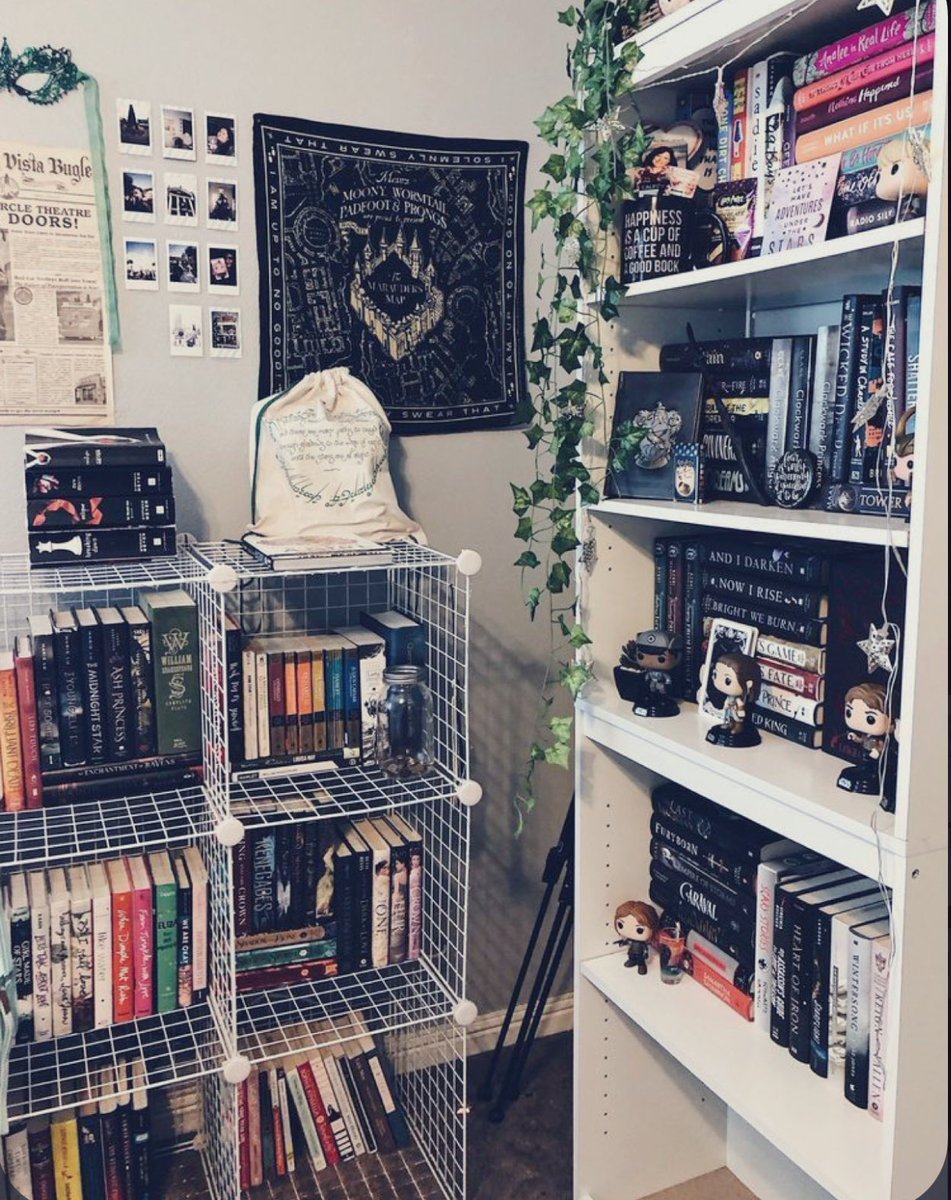 ياز🤍 tweet media