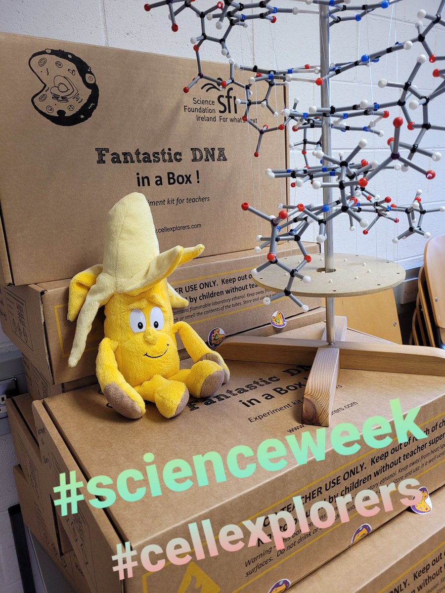 We are bananas about DNA @dkitscience, @Cellexplorers Fantastic DNA boxes packed and ready for delivery to schools for @ScienceWeek #ScienceWeek #fantasticdna