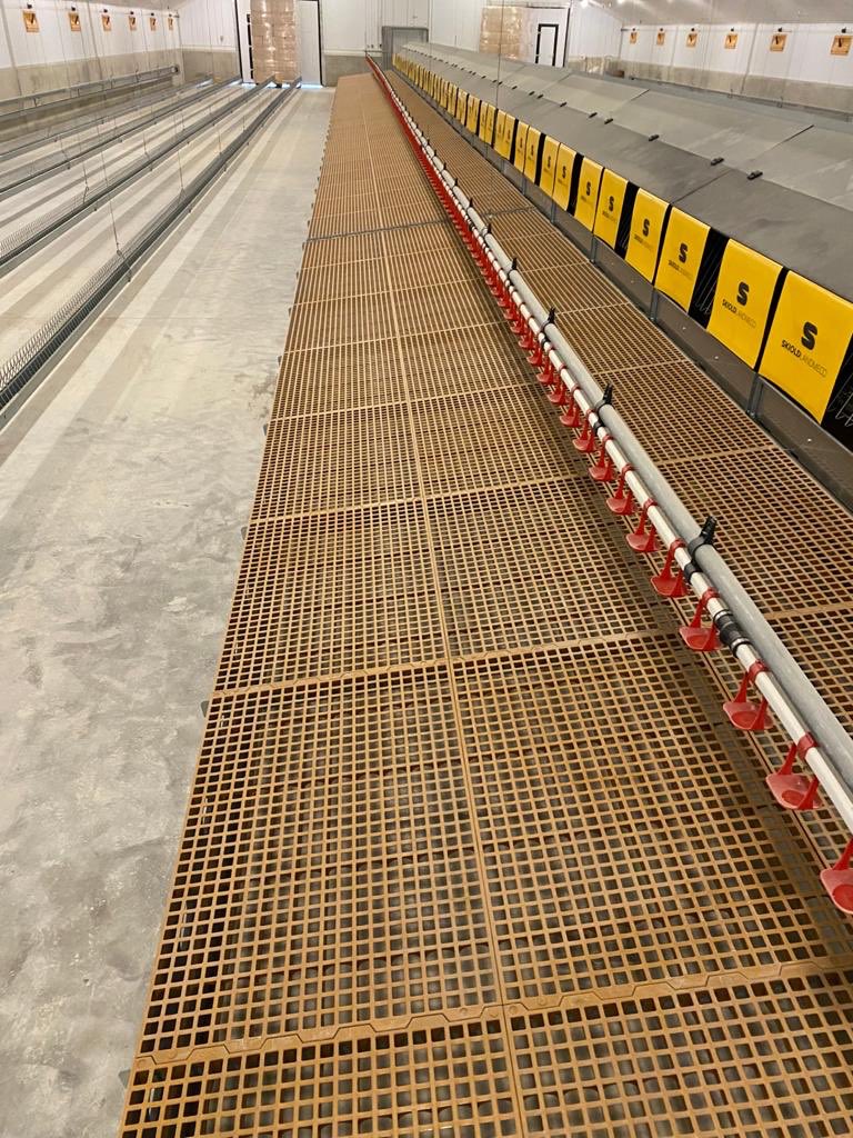 JohnNally_PE's tweet photo. A Recently Installed Landmeco broiler breeder system in Limerick.
Using quality Landmeco nest boxes, Slats & feeding systems with Agrologic Management Computer & Impex drinkers.
For all queries
☎️ 00353 49 4379144
#PEServices #QualityInstallations #broilerchickens #BroilerFarm https://t.co/zrrhAt79x7