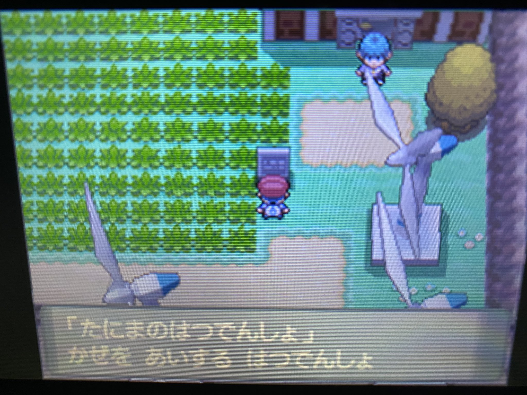 Zk 記録5 たにまのはつでんしょ ブイゼル加入 プラチナのブイゼルのグラ可愛すぎる マーズのブニャットはやっぱり強かった T Co erdqoea6 Twitter