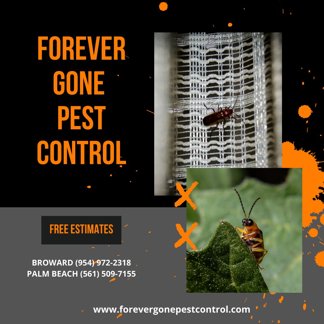 ForeverGonePC's tweet photo. Have an Awesome Friday Everybody!

#fall #pest #pestcontrol #southflorida #palmbeach #broward #bugs #forevergonepestcontrol #residential #commercial #lawncare #Friday https://t.co/wkfbppqbX6