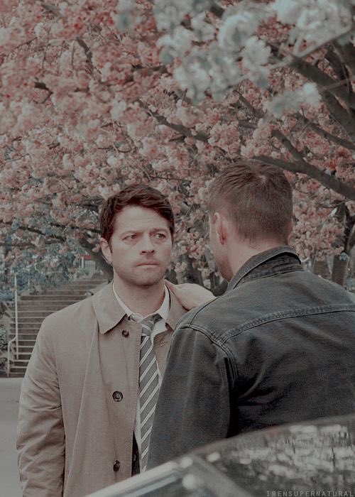 cas__2y5's tweet photo. Cant count the tears I cried for them
#TheirLoveWasReal
Let’s cry together today #DESTIELisCANON #DestielAnniversary https://t.co/CF2Qdce7zD
