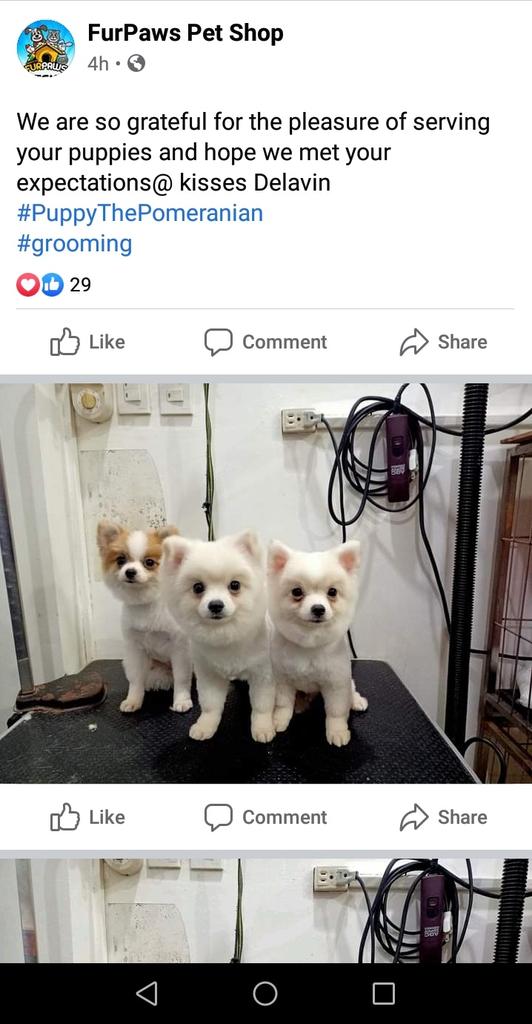 juvs51950734's tweet photo. Cute ang laki na nila.

@KissesDelavin https://t.co/8BKMt24qjj