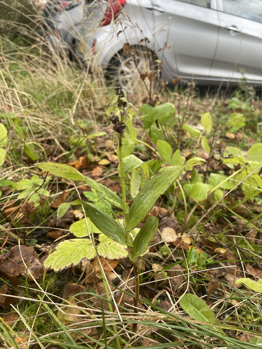 Joshua Styles tweet media