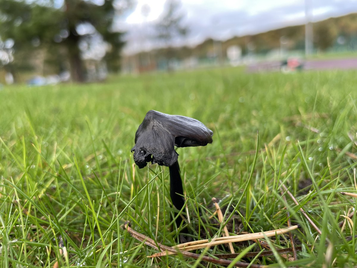 Joshua Styles tweet media