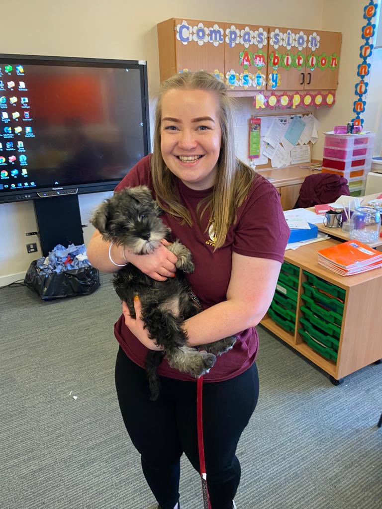 StMichaelsMissD's tweet photo. Primary 6 loved their surprise visit from Dolly 🥰 #cuddles #cuteness https://t.co/xjUqnyA0fF