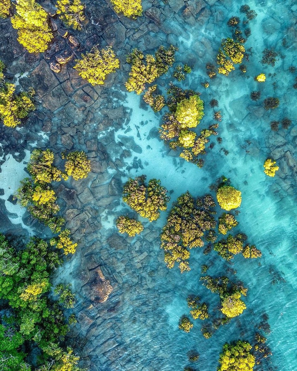 WTravelMagazine's tweet photo. #Pearlfarm at the tip of the beautiful Dampier Peninsula – one of the last pristine and remote marine wilderness frontiers in #Australia. 📷 @shotz_by_paul @westernaustralia Reposted from @australiasnorthwest https://t.co/4a2nbZ3rDJ