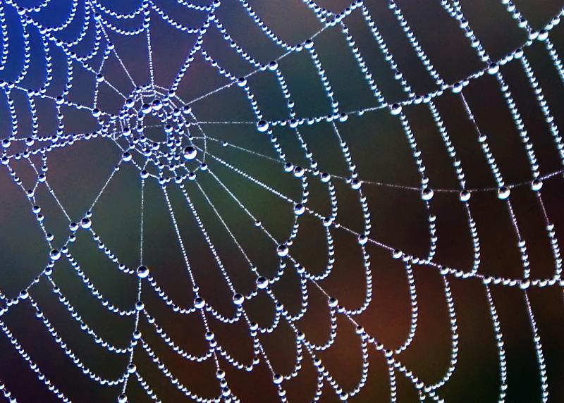 odinzackman's tweet photo. Creating a new rhythm or new pattern in our lives and in the world can start by simply taking a pause...https://t.co/NTpc2EeTTH https://t.co/ybwq7dvM4R