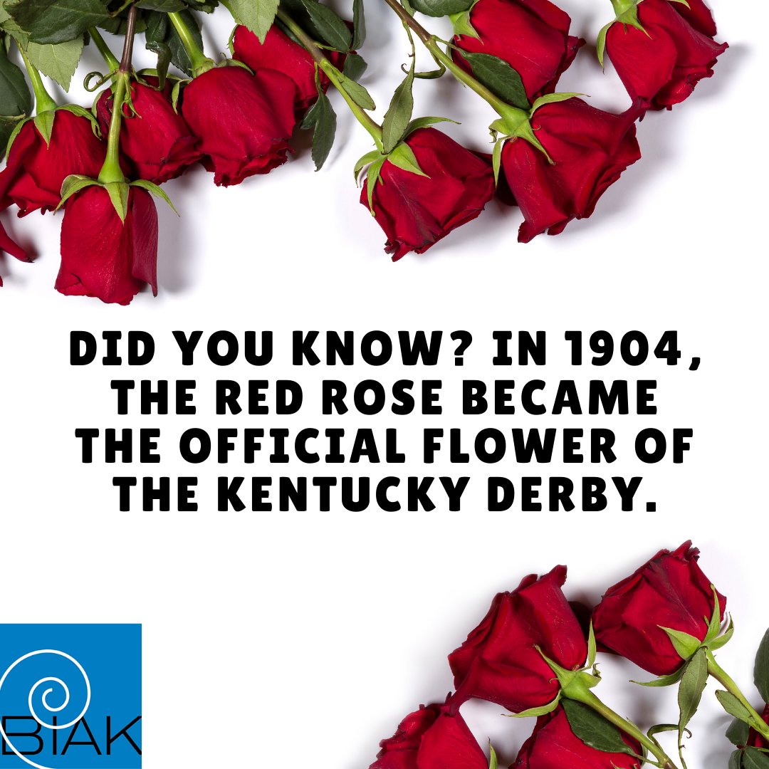 brainjallky's tweet photo. Did you know?  According to Reader's Digest, "In 1904, the red rose became the official flower of the Kentucky Derby." 

Join BIAK for our Derby-themed virtual fundraising event on November 19! >>> https://t.co/fyfbb0NfDy https://t.co/XB5n4FKbPq