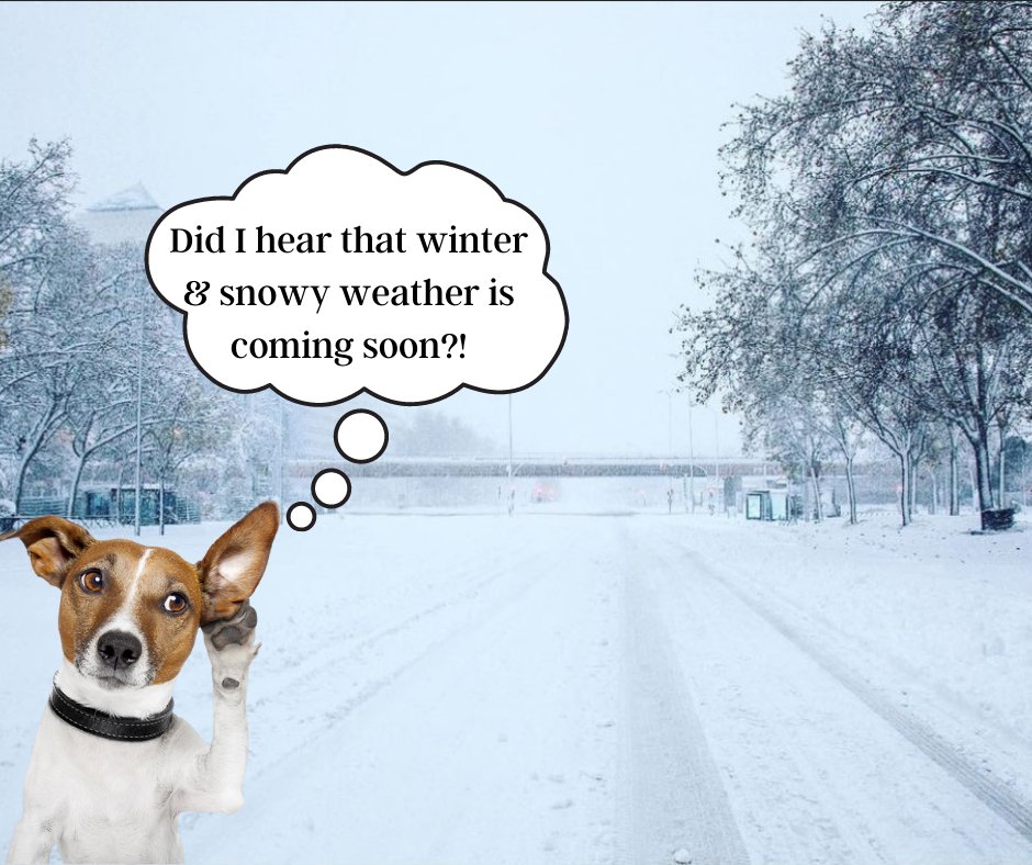 gmetzmoving's tweet photo. It's almost that time of the year were we play the game "Am I on the road?"
#residentialmoving #ResidentialMovers #providenceri #movingcompany #getthejobdone #localmovingcompany #commercialmoving #longdistancemoving #laugh #funnypostfriday#winteriscoming https://t.co/JmoTYTyZjl