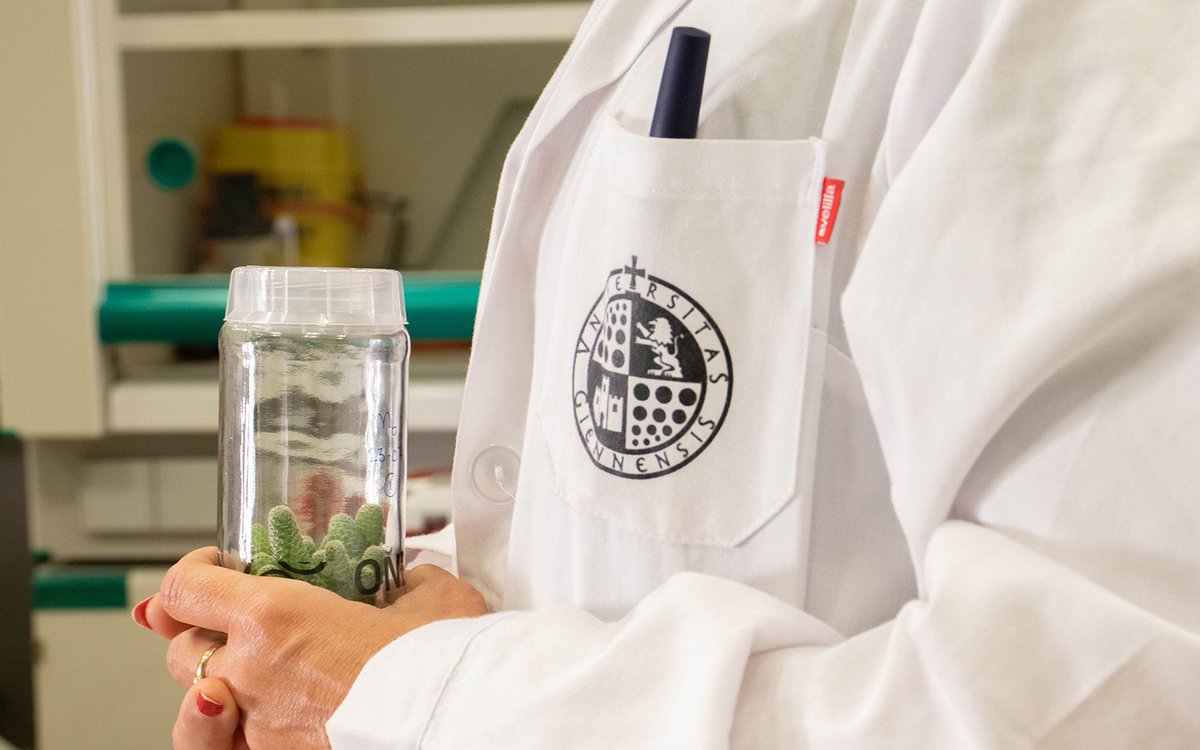 ujaen's tweet photo. ➡La @ujaen cuenta con 20 👨‍🔬👩‍🔬investigadores entre los más citados 🔝 del mundo. 

Así lo recoge el 📈Ranking of the World Scientists: World’s Top 2% Scientists elaborado por la Universidad de Stanford ℹ️👉https://t.co/GZT1F8MvaI #UJAInvestiga #UJAExcelencia https://t.co/wPCgH4XfKv