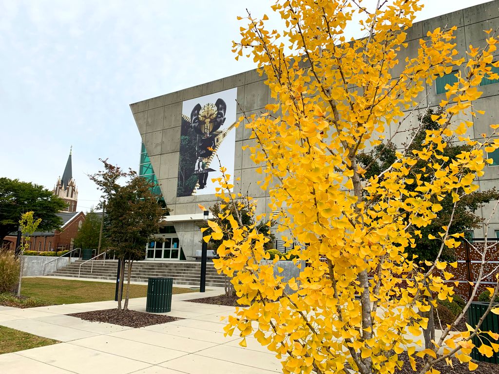 accessfreely's tweet photo. Because gray skies and gold trees make for a perfect Autumn day. Our Main location makes for a stunning muse. 📸
#colacity #accessfreely #Autumn #mainstreetdistrict https://t.co/ESbQ45hFrV