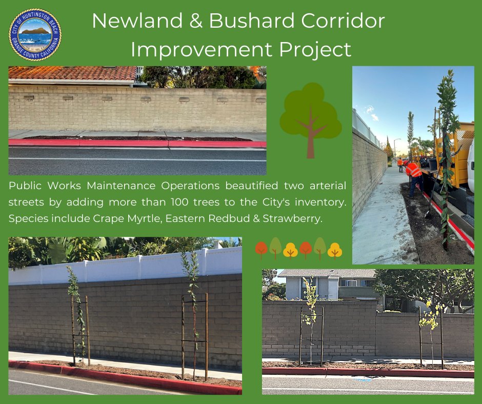 CityofHBPIO's tweet photo. #HBPublicWorks has delivered the first of several corridor improvement projects planned for this fiscal year. Maintenance Operations has planted more than 100 trees along Newland and Bushard Streets.
More beautification projects to come - stay tuned!
#HuntingtonBeach #OneHB https://t.co/BPLOxnytPN