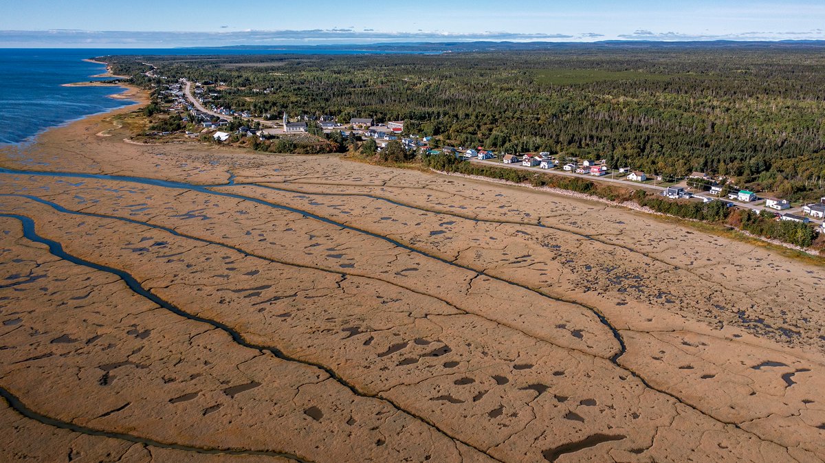 Portneuf-sur-Mer s'invite dans l'objectif du photographe Sébastien St-Jean  ! 📸

Sébastien n'avait jamais visité Portneuf-sur-Mer, avant la journée où il a pris toutes ces images. Il a certainement l'intention d'y retourner !

#CôteNord #RoadTrip #BonjourCôteNord #BonjourQuébec