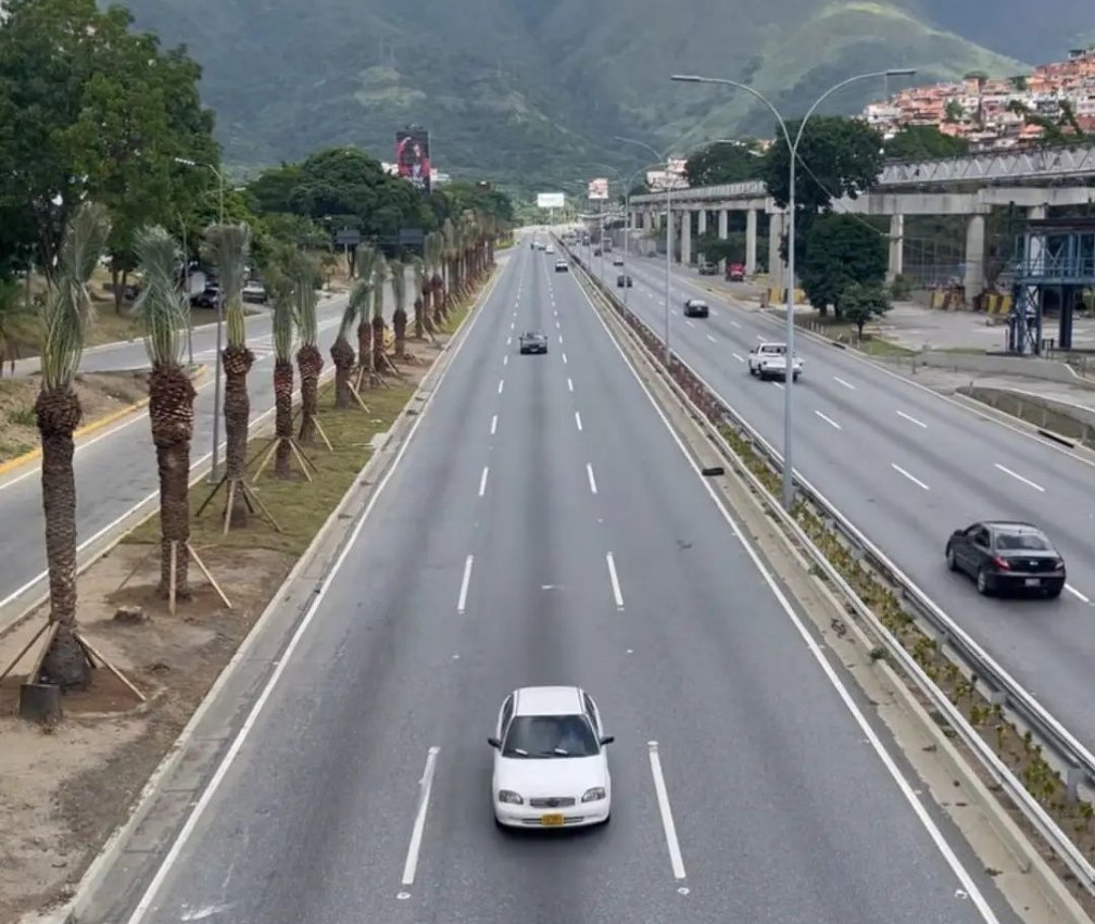 DATILEROS EN CAMPAÑA. Desde Margarita claman a la Unesco interceda para frenar el crimen contra la palma datilera, Patrimonio Vegetal de San Juan Bautista municipio Díaz.Una candidata y exgobernadora estaría detrás del embellecimiento de Caracas a costa del ecocidio