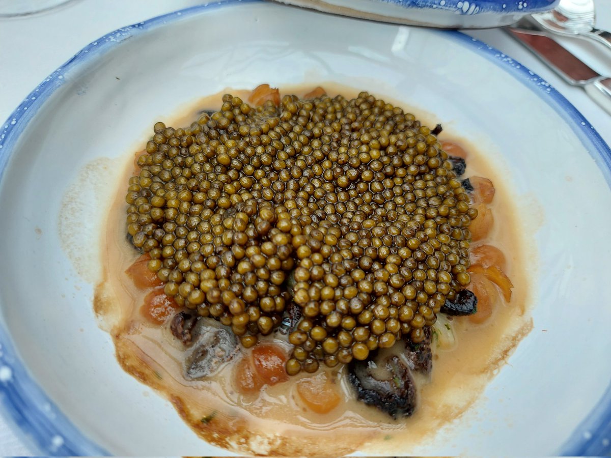 PhilippeRegol's tweet photo. En los ensayos de #ADMO #Paris una fusión de la cocina d #Ducasse #Meder con la d #AlbertAdrià
Muchos platos q recuerdan ese "estilo Enigma" d sencillez y sobriedad aparentes.
Butifarra d ostra y wakame.Piel d bacalao con caldo d setas/erizo.Garbanzos/espardeña/caviar 🔝🔝🔝 https://t.co/p2jxZ3lMQT