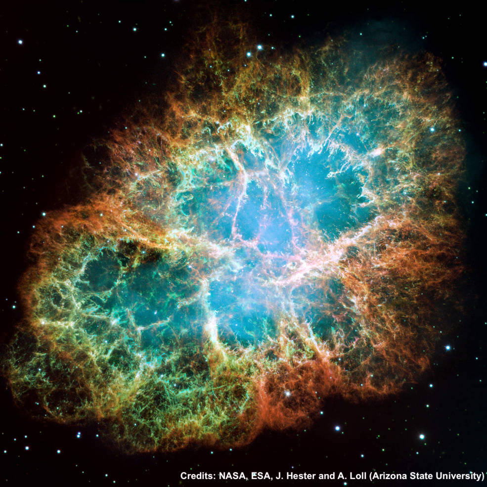 Dr. Haley Wahl tweet media