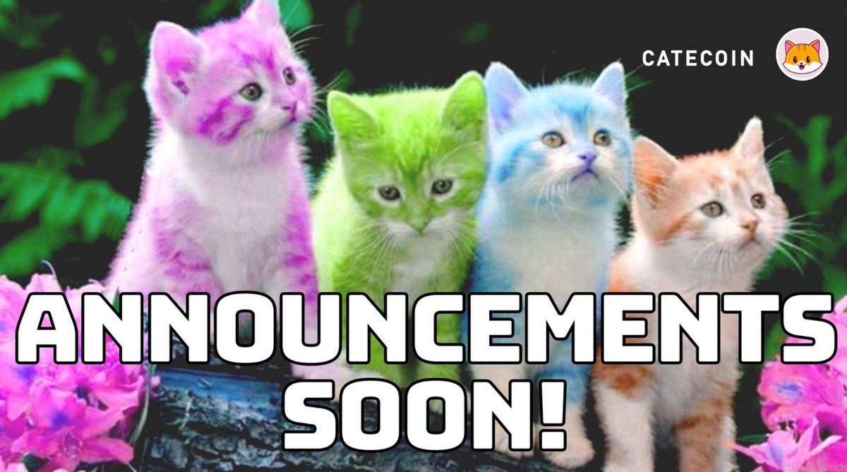 Tech, business, and marketing… the Catecoin team is busy working across all of these disciplines.

Expect multiple announcements soon!!!!🚀🎉🎉🥳🥳