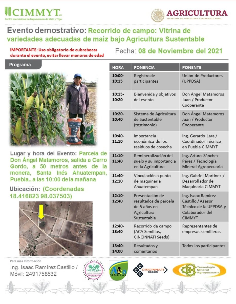 IsaacGDC's tweet photo. ✳️ Recorrido de campo: "Vitrina de variedades adecuadas de maíz bajo Agricultura Sustentable" ✳️ en Santa Inés Ahuatempan, Puebla. Con variedades de maíz adecuadas y fertilización integral, se obtienen mayores rendimientos además de aumento del carbono orgánico del suelo.#CIMMYT https://t.co/iuTyuhSNIn