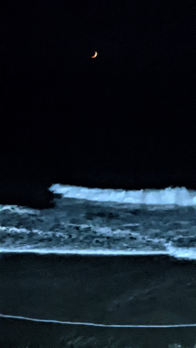 psychedelic_ETH's tweet photo. It's quite a trip living at the edge of the continent, watching the moon and sun dance beyond the vast ocean.
@ParasHQ @nftbuzz_eth
_
https://t.co/HLFzeeeuD2
_
#nfts #nft #NFTartist #nftcommunity #nftfamily #cryptoart #sanfrancisco $NEAR #PARAS #tryshowtime #psychedeliceth https://t.co/ZTECjMWJKW