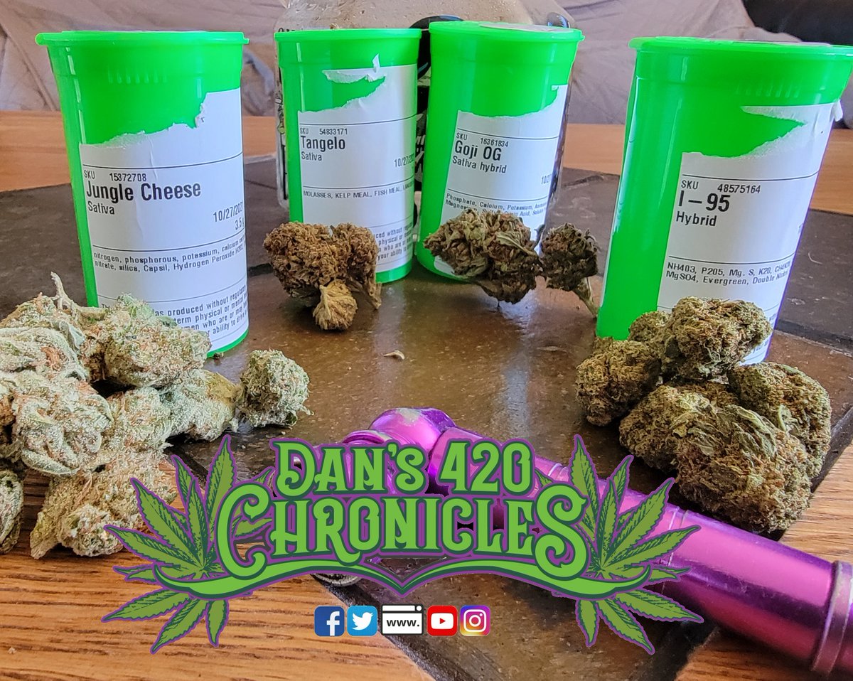 dan_chronicles's tweet photo. Full review of last weeks #Dans420Chronicles #WeedReviews
#GojiOG Sativa Hybrid THC 25.85%
https://t.co/n8ZP0Zq7At
#Tangelo Sativa THC 27.35%
https://t.co/9T1t8NHBFu
#I-95 Hybrid THC 29.19%
https://t.co/yIOu4mnyza
#JungleCheese Sativa THC 26%
https://t.co/SYYA9hMfMp https://t.co/QGxQH7xexK