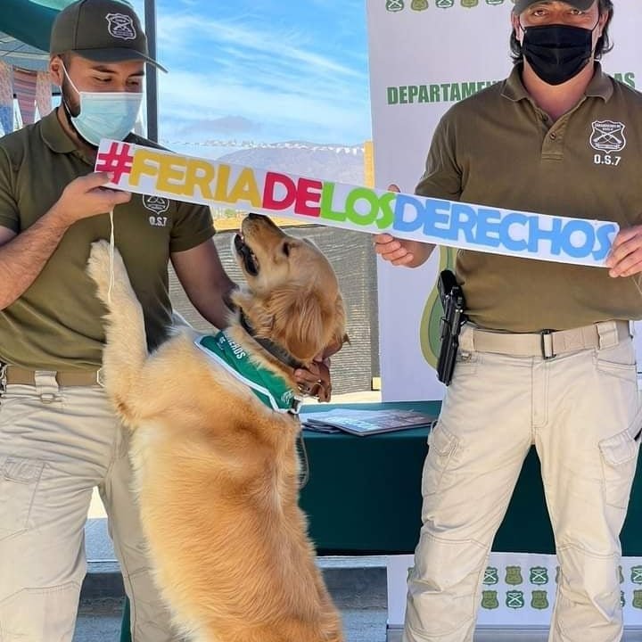 opdlahiguera's tweet photo. Ayer 4 de noviembre se realizo FERIA DE LOS DERECHOS DE NNA en #LaHiguera donde participaron representantes de @SENDA_IVregion @CarabCoquimbo @defensorianinez @LaHigueraMuni @adrachile #programaAMA #registrosocialdehogares #mujerfejasdehogar https://t.co/okuch6GAct